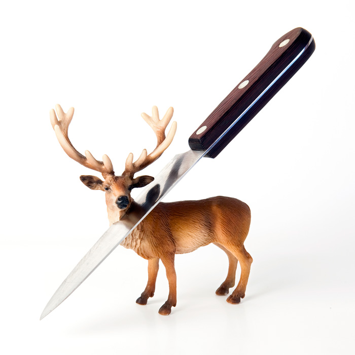 Cervus elaphus carnificaren