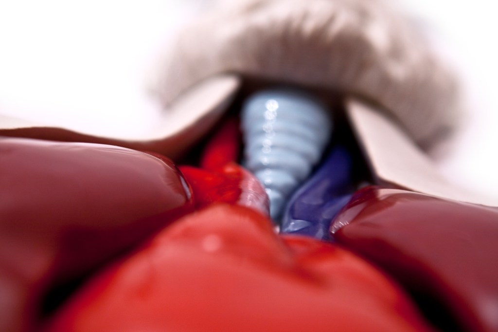 Autorretrato Desnudo. Cyro García. Anatomía. Arte Contemporáneo. Cerámica