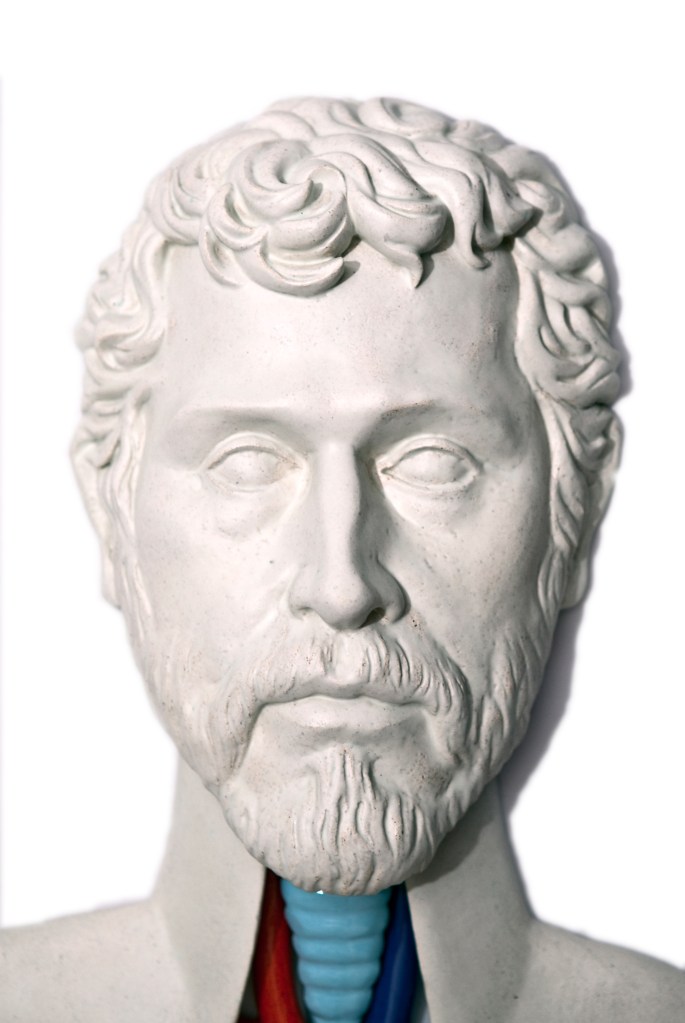 Autorretrato Desnudo. Cyro García. Anatomía. Arte Contemporáneo. Cerámica