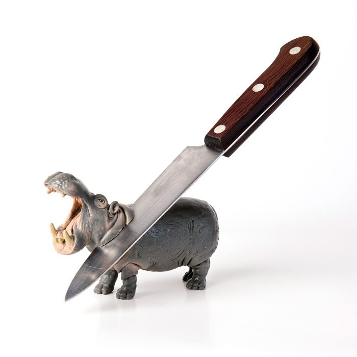 Hippopotamus amphibius carnificaren